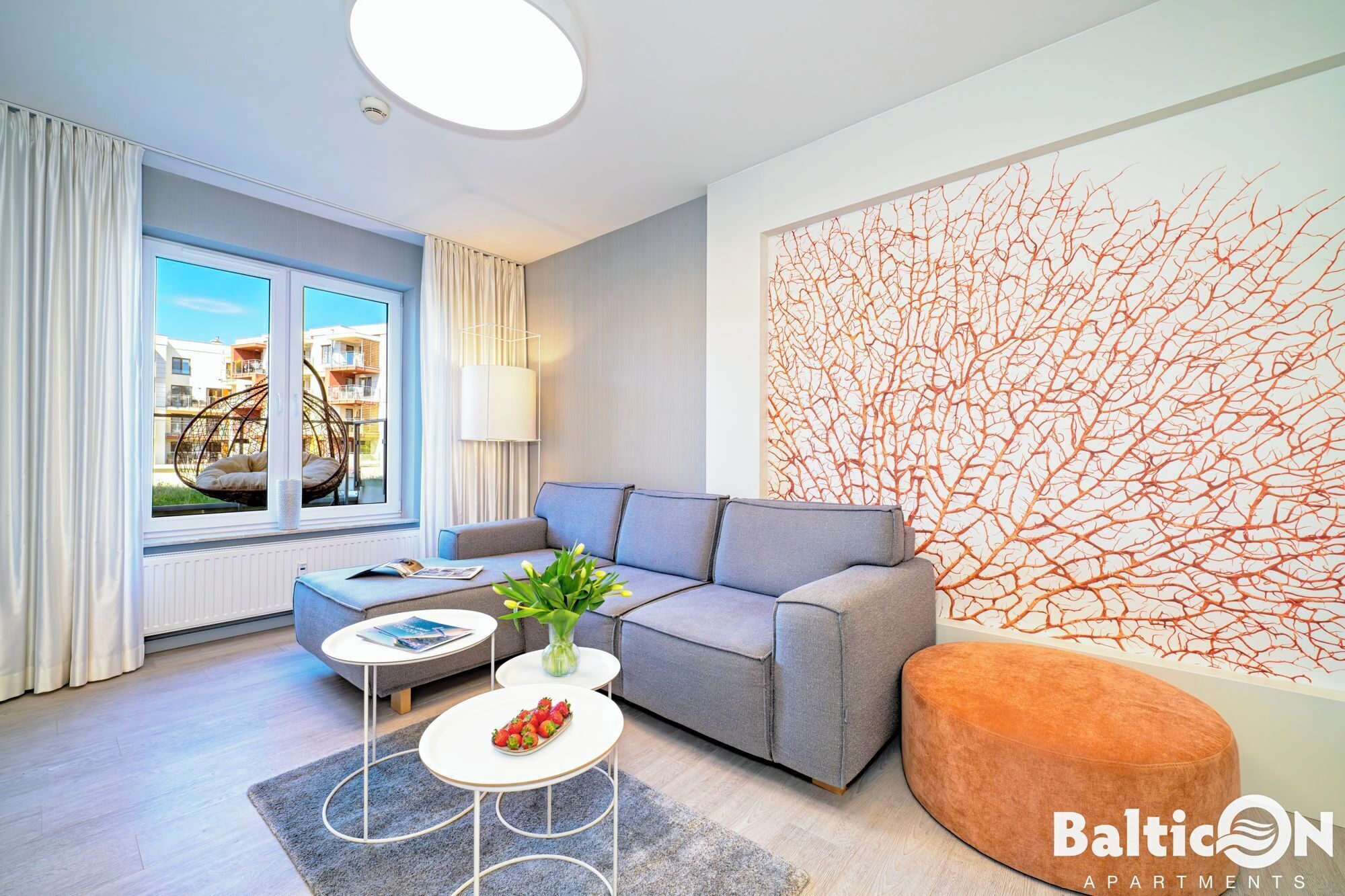 1 habitación, ropa de cama hipoalergénica y decoración personalizada 