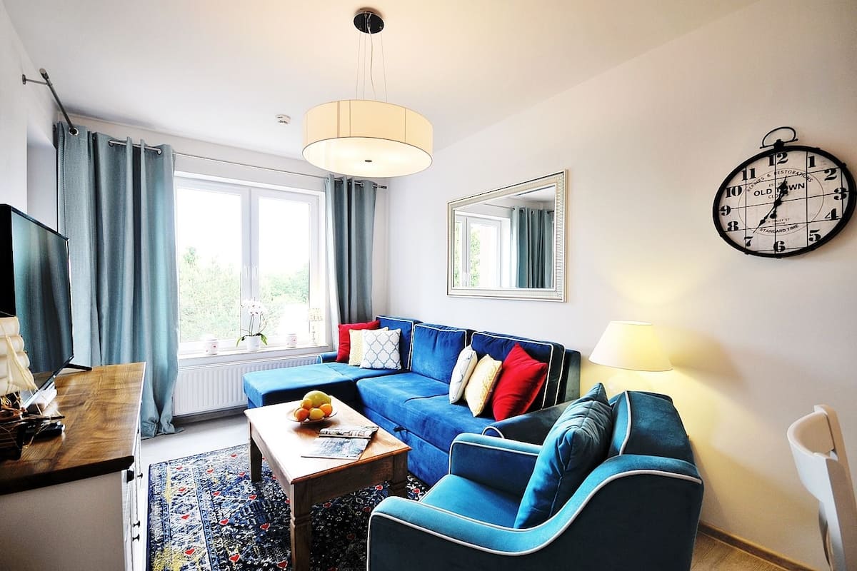 Classic Apartment, 1 Bedroom (D301) | Living area | 42-inch flat-screen TV with cable channels, TV