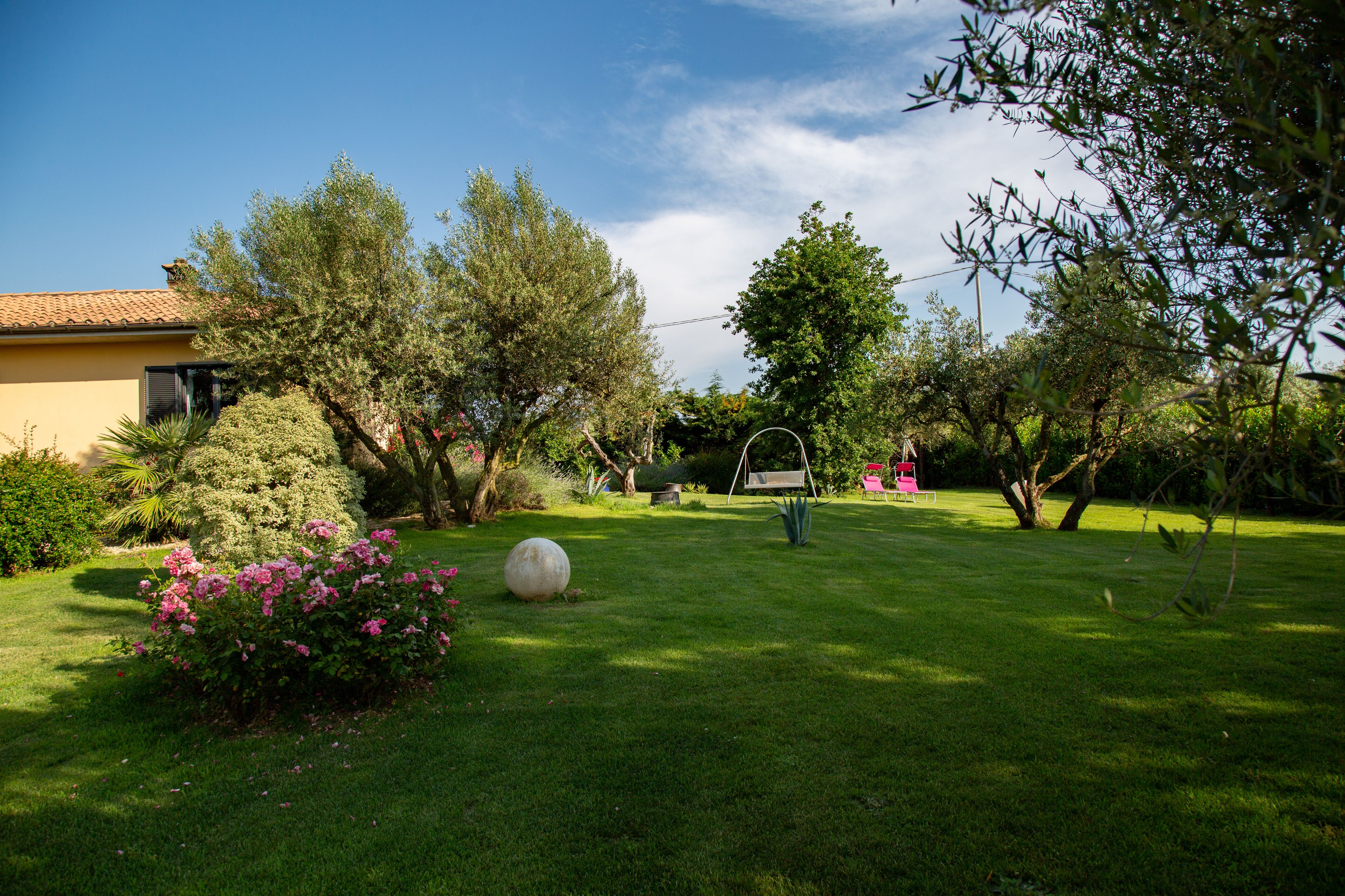 A well-maintained garden with a lawn, a swing set, and a variety of trees and shrubs.
