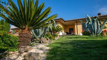 Jardin