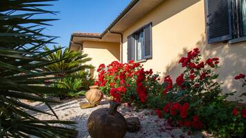 Una casa con jardín, flores rojas y una maceta grande.