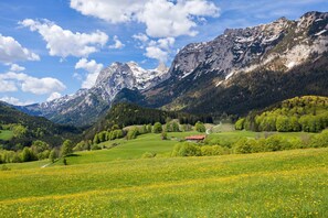 Niet-geclassificeerde afbeelding, 3 van 7, knop