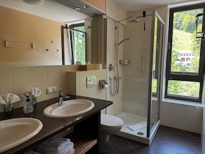 Shower, hair dryer, towels