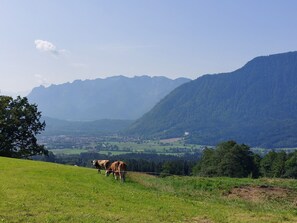 Doccia, asciugacapelli, asciugamani