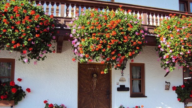 Un bâtiment rustique avec une porte en bois et un balcon orné de jardinières suspendues.