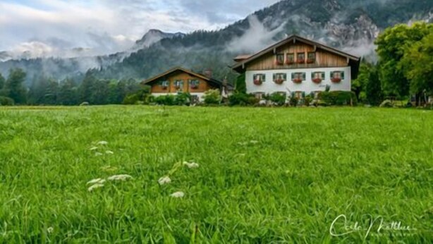 Two wooden houses with white facades and balconies, set in a lush green field with mountains in the background.