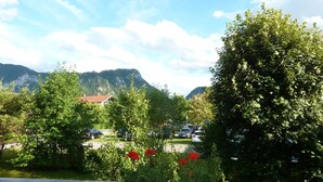 Blick auf eine Berglandschaft mit Bäumen und einer Straße.