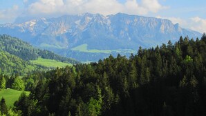 A mountainous landscape with a forested foreground and a range of mountains in the background. - Ferienwohnung "Wilder Kaiser" im Zuhäusl 72 qm mit drei Schlafzimmer und Balkon° (Sachrang)