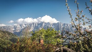 Miscellaneous - Ferienwohnung "Wilder Kaiser" im Zuhäusl 72 qm mit drei Schlafzimmer und Balkon° (Sachrang)
