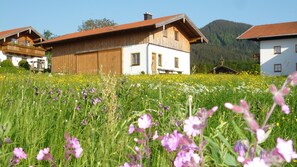Uma casa de madeira tradicional com telhado inclinado, rodeada por um campo de flores silvestres e uma montanha ao fundo.
