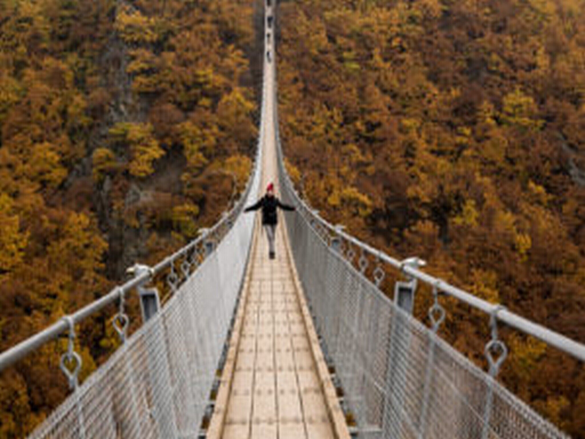 A suspension bridge with a person walking on it, surrounded by autumn foliage.