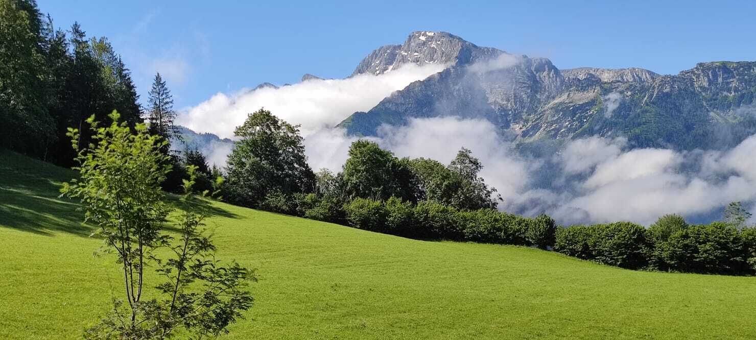 Ferienwohnung Jägerstübchen, für 1-2 Personen-Ausblick von Eurer privaten Terrasse