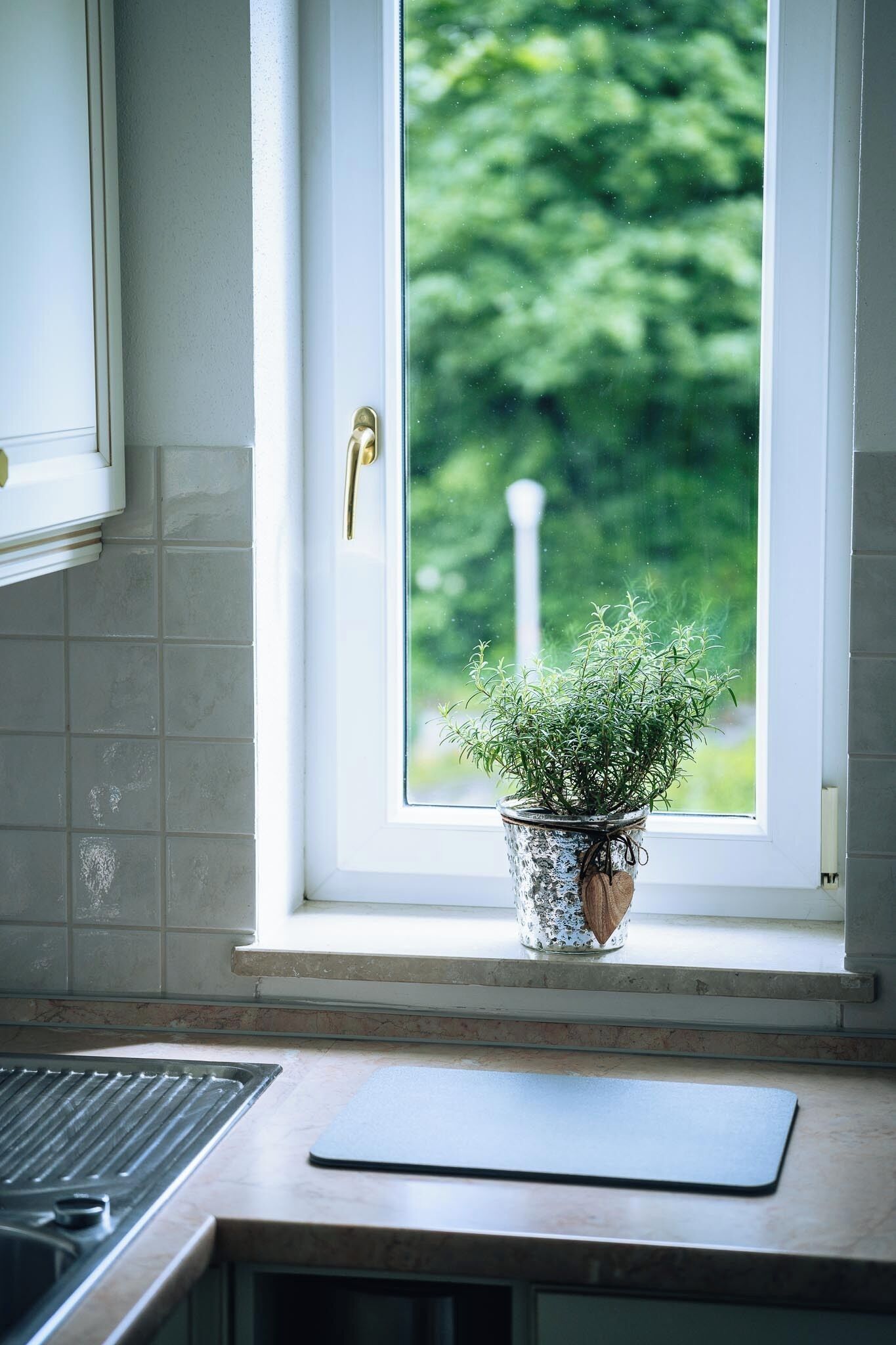 Kühlschrank, Ofen, Herdplatte, Geschirrspüler