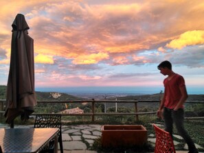 Terraza o patio