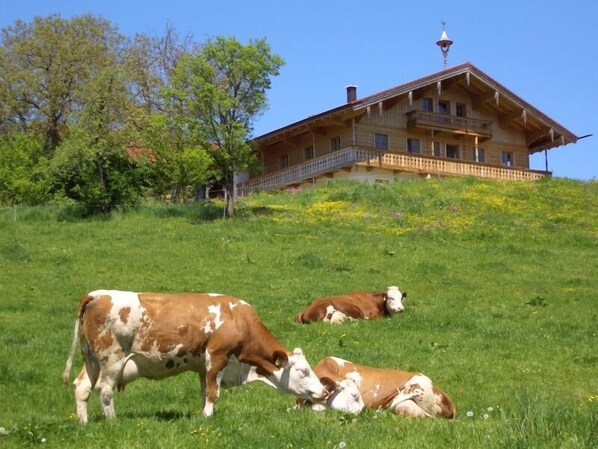 Außenbereich