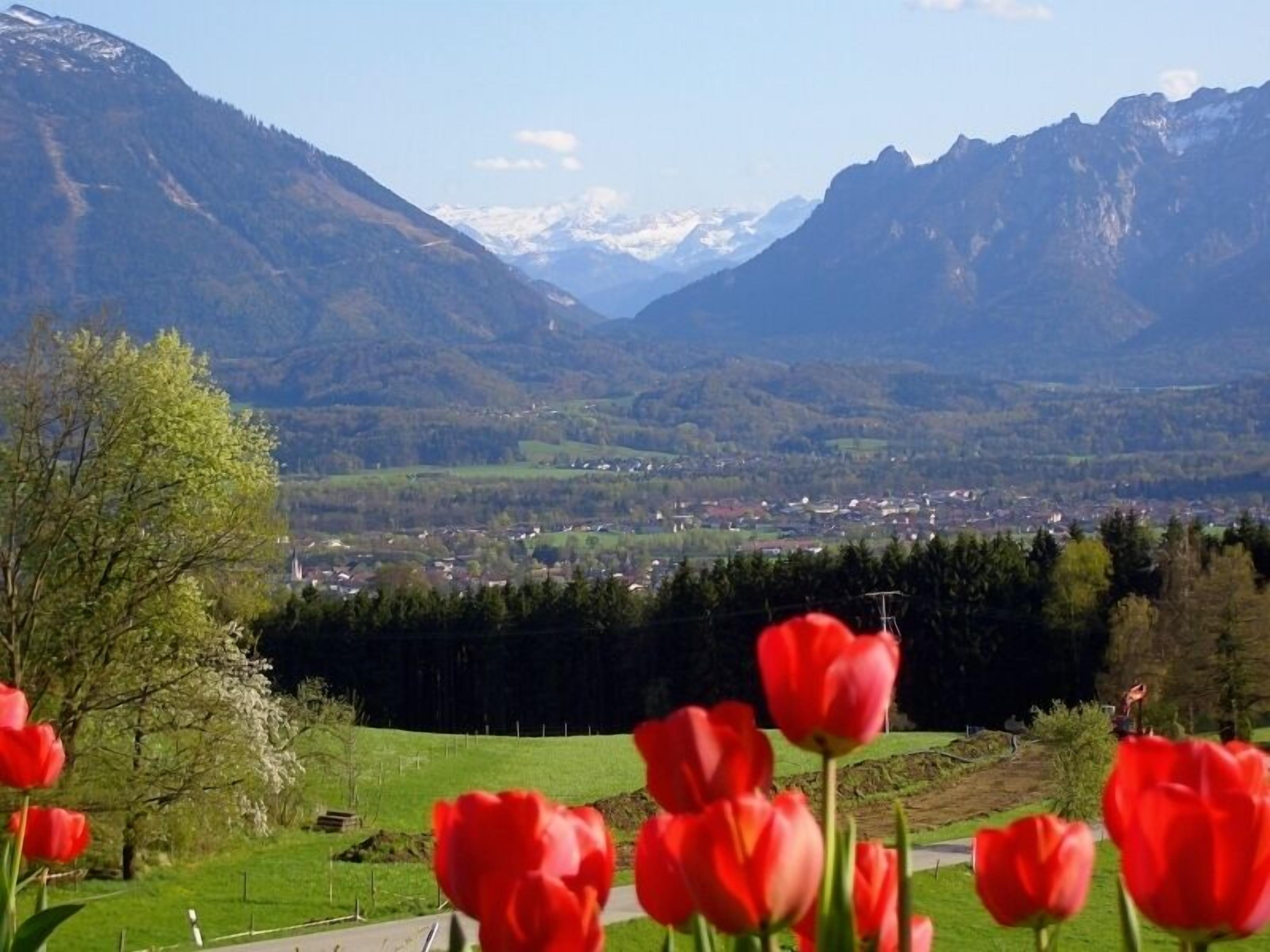 Paisaje montañoso con un pueblo en el valle, tulipanes rojos en primer plano y cielo despejado.