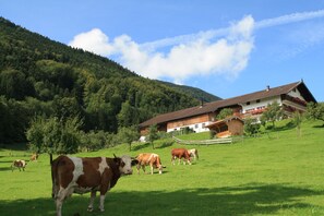 Property grounds - Apartment Farrenpoint, up to 4 persons, 80 sqm, 2 sep. Bedroom (Bad Feilnbach)