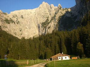 Una casa de madera rústica con techo inclinado, rodeada por un campo cercado y un bosque denso.