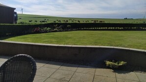 A grassy field with a wind turbine in the distance, a paved area with a chair, and a building partially visible on the left. - Chapel Of Barras Farm Bed & Breakfast (Stonehaven)