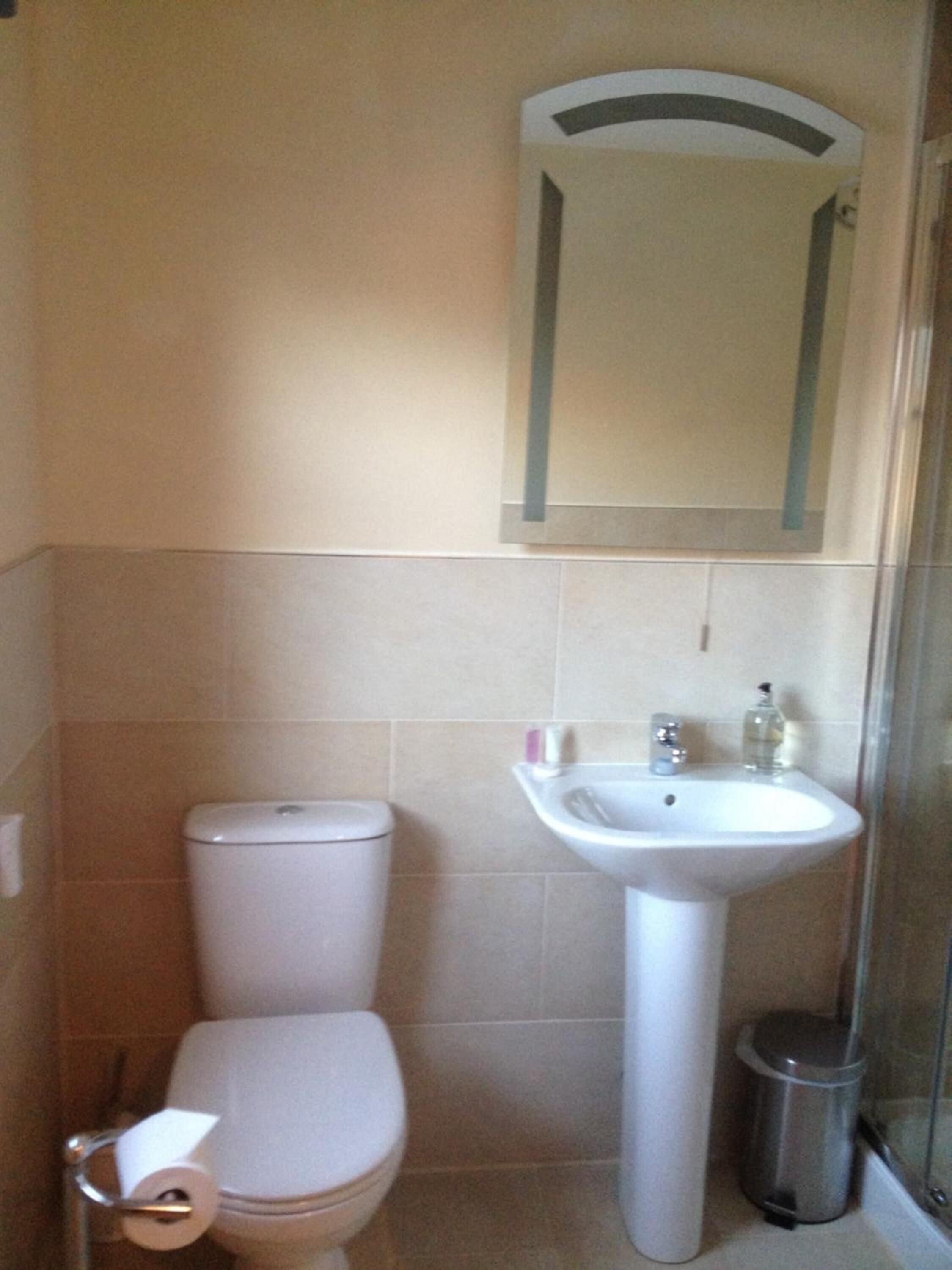 A bathroom with a toilet, sink, and mirror.
