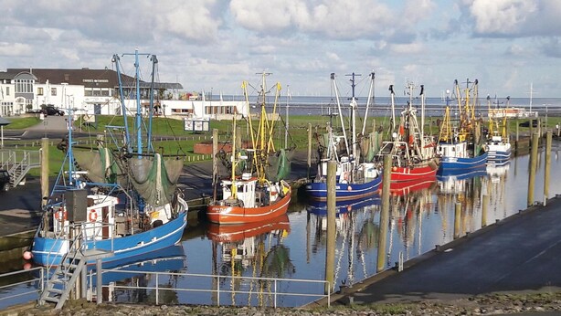 Een haven met diverse boten afgemeerd, een gebouw op de achtergrond en een bord waarop 'Waterfront' staat.