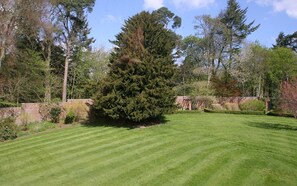 Property grounds - Kirklands Bed & Breakfast (Melrose)