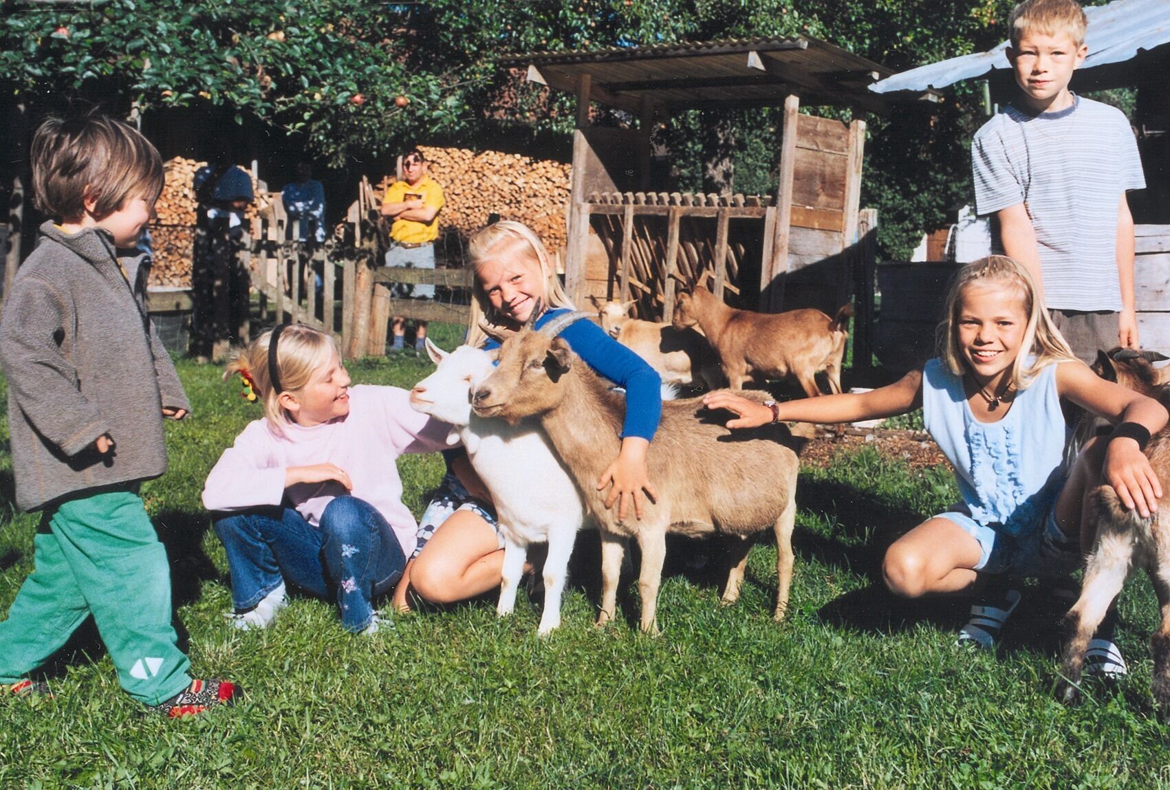 Un gruppo di bambini che interagiscono con delle capre in una zona erbosa all'aperto, con strutture in legno sullo sfondo e una pila di legna da ardere.