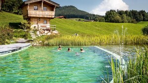 Una cabaña de madera con piscina, rodeada de exuberante vegetación y cielo despejado.