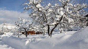 Paisaje nevado con árboles desnudos y un edificio de madera al fondo.