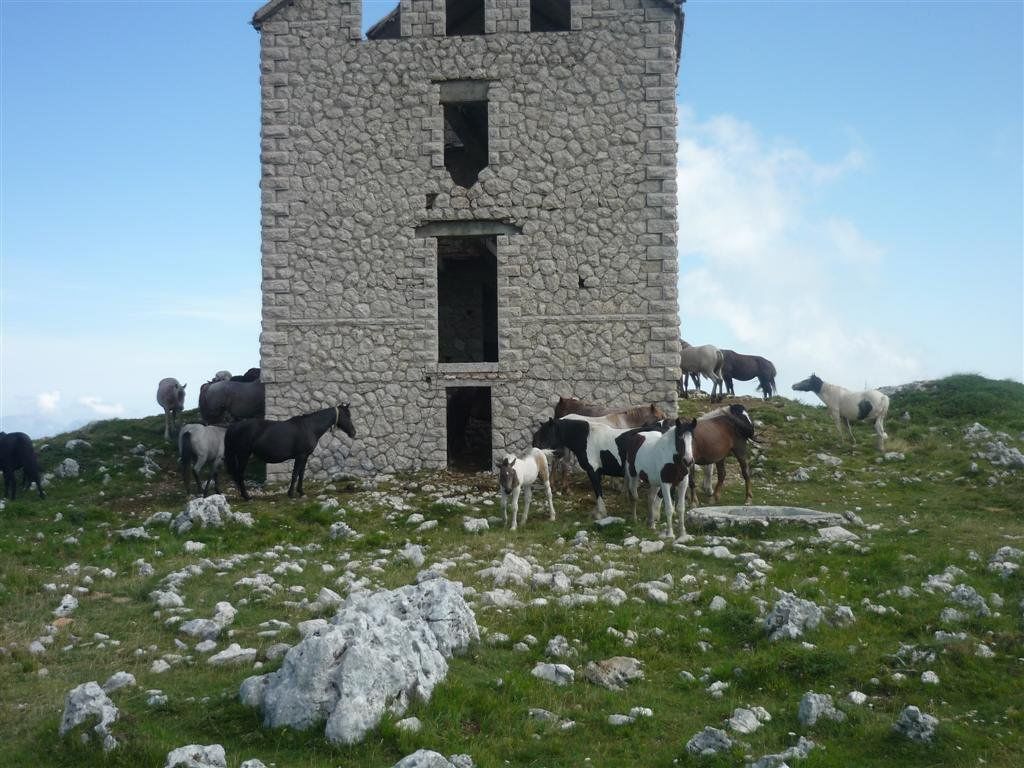 A stone building with a small entrance, surrounded by a grassy field with scattered rocks.