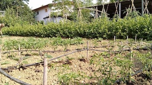 Un jardín con camas elevadas y un sistema de riego por goteo.