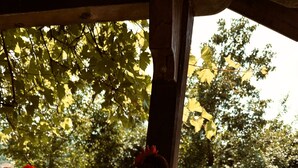 Una struttura in legno con un gallo e una gallina.