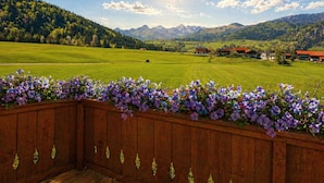 Un balcón de madera con una jardinera llena de flores, vista a un campo verde y montañas al fondo.