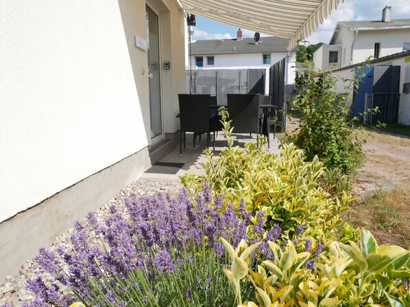 A patio area with outdoor furniture, a garden with lavender and variegated plants, and a white building with a door and windows.