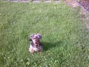 Área da propriedade