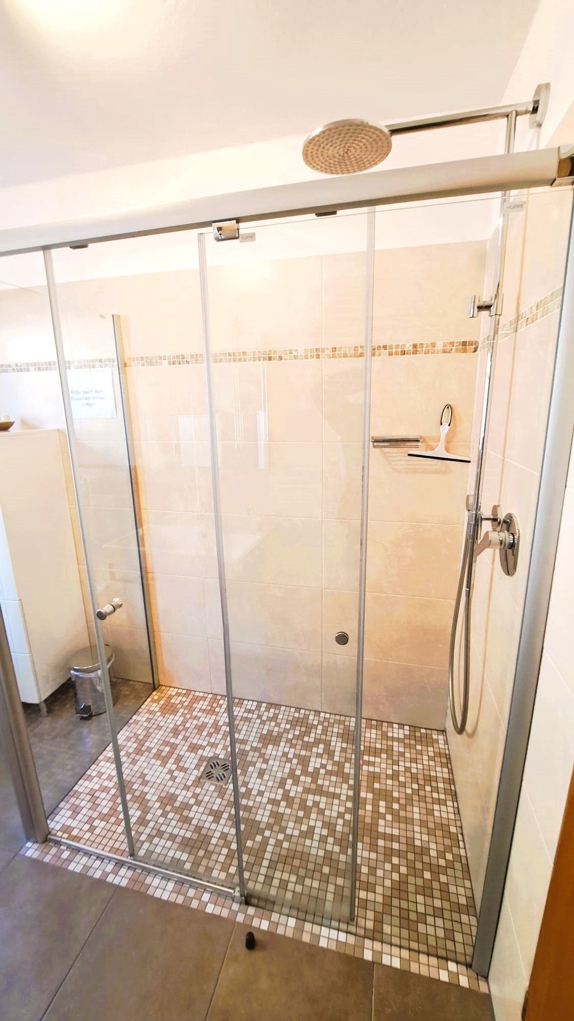 A glass-enclosed shower with a handheld showerhead, a tiled floor, and a visible toilet in the adjacent room.