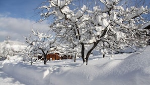 Paesaggio innevato con alberi spogli e un edificio in legno sullo sfondo.
