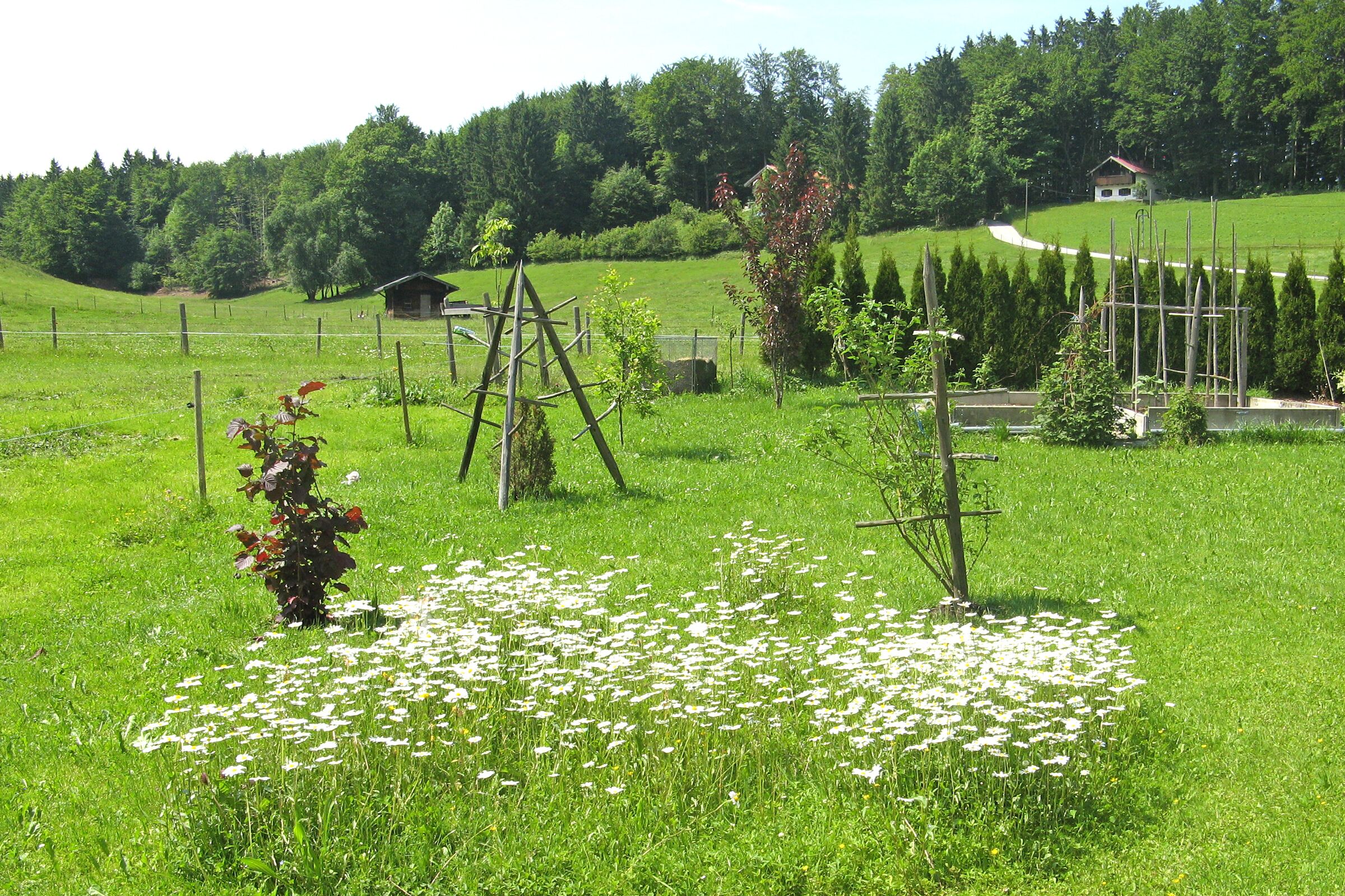 Parco della struttura