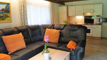 TV, DVD player, table tennis