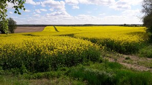Imagen sin descripción, 2 de 13, botón
