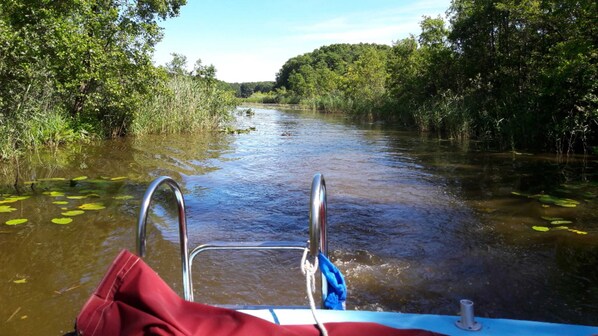 Imagen sin descripción, 1 de 13, botón