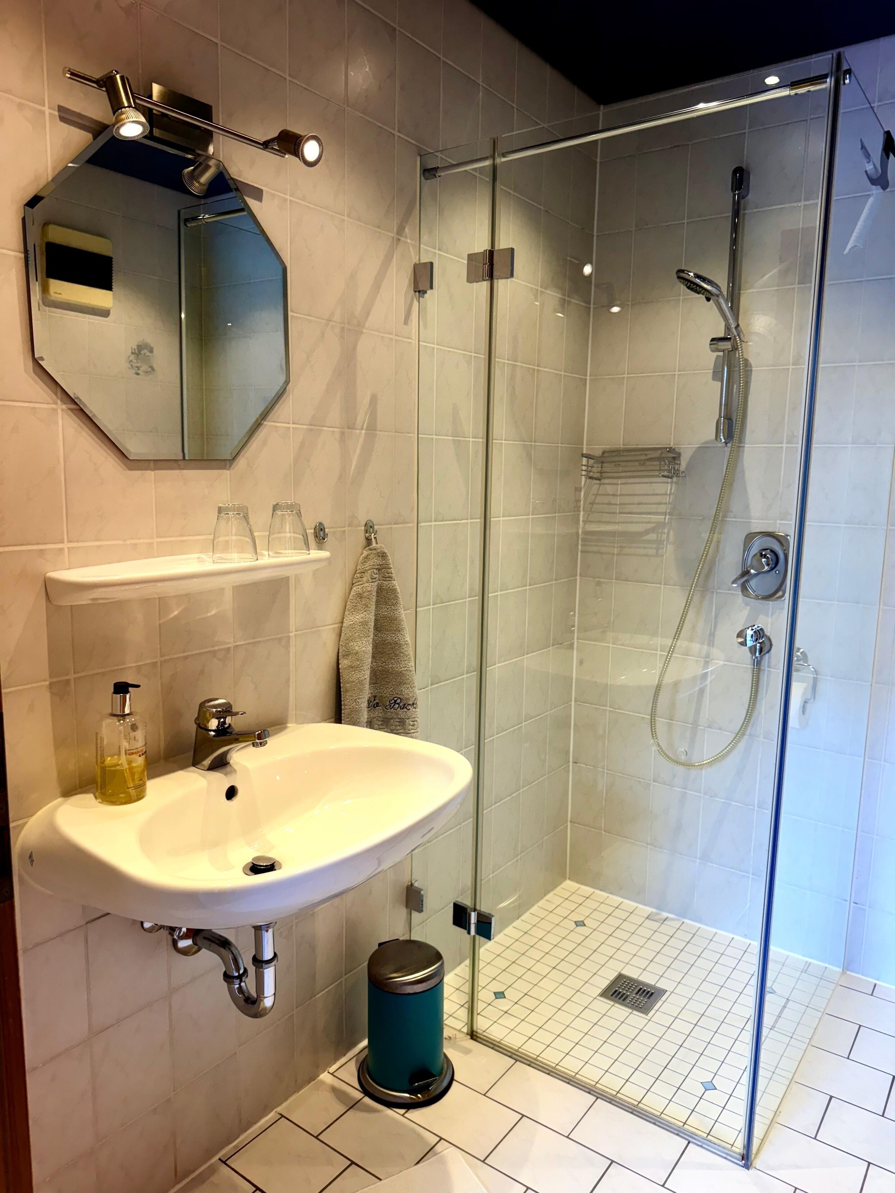 Dusche, Haartrockner, Handtücher