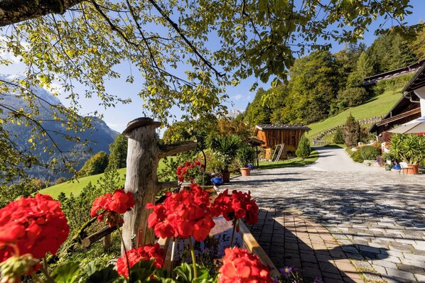 Jardines del alojamiento