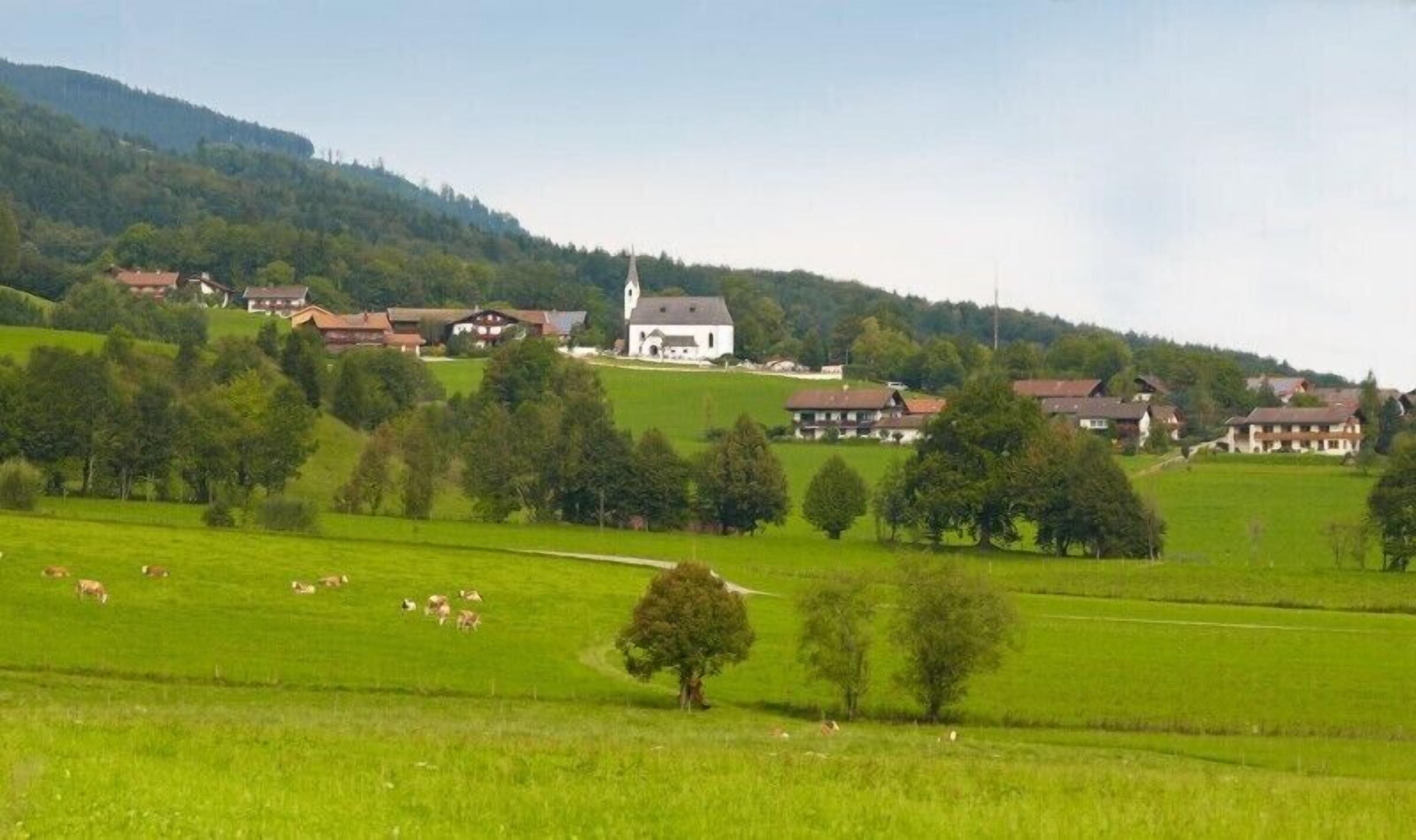 A rural village with houses, a church, and green fields.