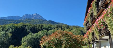 Terrain de l’hébergement