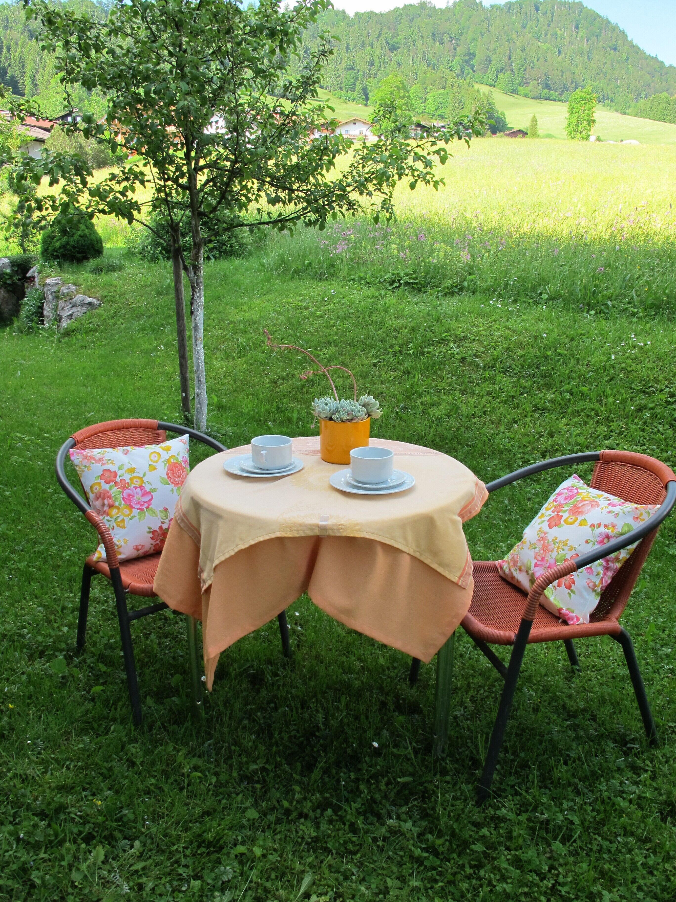 Una mesa redonda con mantel amarillo, dos sillas de mimbre con cojines estampados y una planta en maceta.