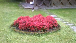 Un parterre circulaire, orné de fleurs rouges, situé dans une zone herbeuse.