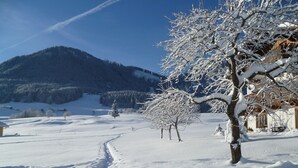 Paisaje nevado con un edificio y un árbol en primer plano.