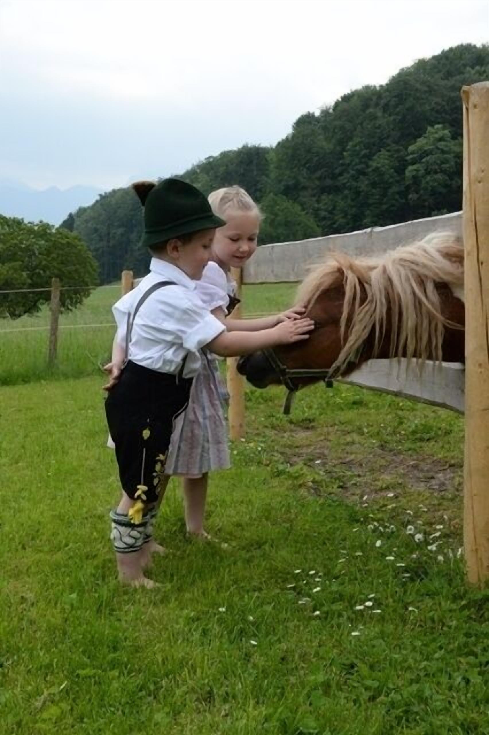 Dos niños en un espacio al aire libre con césped, uno acariciando un caballo.