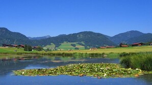 A serene landscape with a lake, green fields, and mountains in the background. - (07) Zwei-Raum-Ferienwohnung (Reit im Winkl)